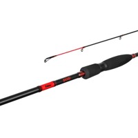 Delphin BANG 240cm/10-30g