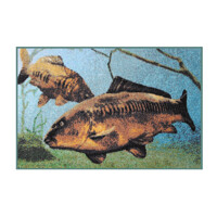 Rohož 3D kapři pod hladinou