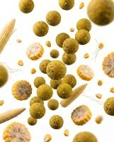 TB Baits Boilie Corn 20mm,2,5 kg