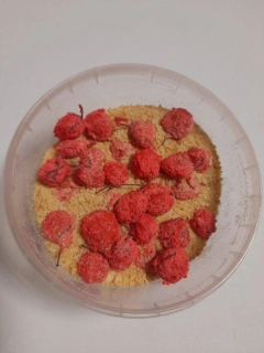 Rohlíkové boilies - Česnek